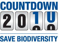 countdown