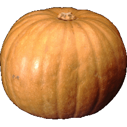 pumpkin.jpg