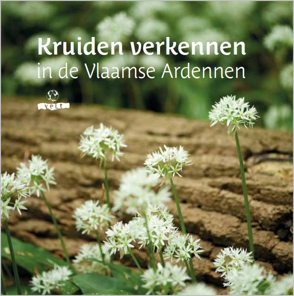 Kruiden verkennen in de Vlaamse Ardennen