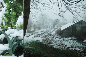winter
